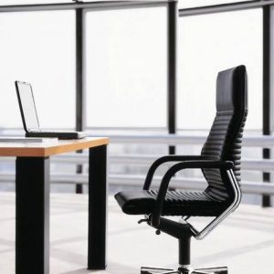Executive Office Chair