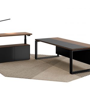 Executive Table Ext - 66