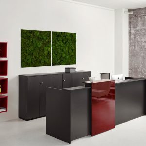 Reception Desk Rod - 20