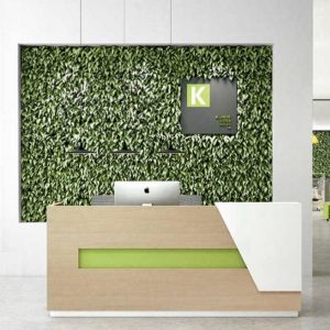 Reception Desk