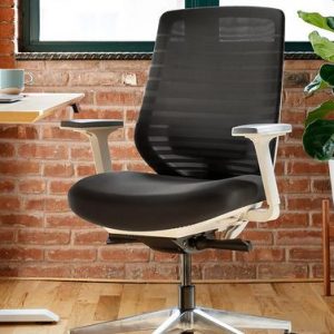 Ergonomic Chair