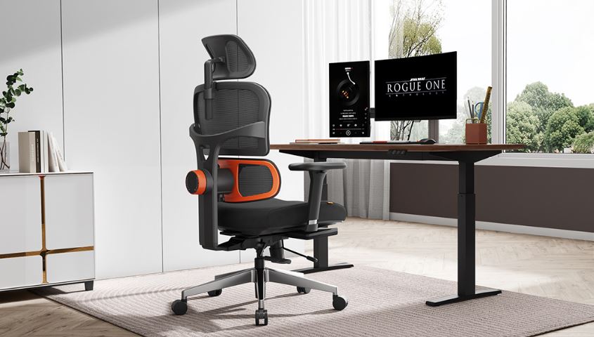 Buy Ergonomic Chairs